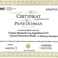 Powiększ obraz: certificate 10