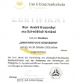 Powiększ obraz: certificate 19