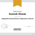 Powiększ obraz: certificate 6