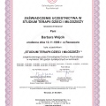 Powiększ obraz: certificate 1