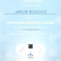 Powiększ obraz: certificate 4
