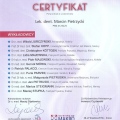 Powiększ obraz: certificate 19