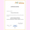 Powiększ obraz: certificate 4