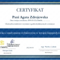 Powiększ obraz: certificate 5