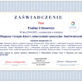 Powiększ obraz: certificate 1