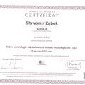Powiększ obraz: certificate 9
