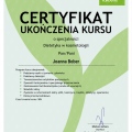 Powiększ obraz: certificate 11