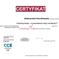 Powiększ obraz: certificate 2
