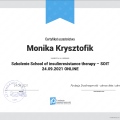 Powiększ obraz: certificate 2
