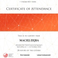 Powiększ obraz: certificate 7