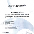 Powiększ obraz: certificate 8