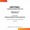 Powiększ obraz: certificate 17