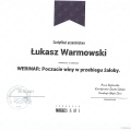Powiększ obraz: certificate 5