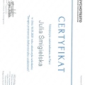 Powiększ obraz: certificate 4