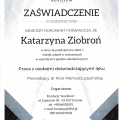 Powiększ obraz: certificate 10