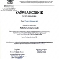 Powiększ obraz: certificate 2