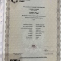 Powiększ obraz: certificate 1