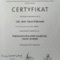Powiększ obraz: certificate 5