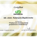 Powiększ obraz: certificate 27