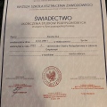 Powiększ obraz: certificate 15