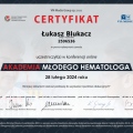 Powiększ obraz: certificate 408