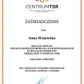 Powiększ obraz: certificate 2