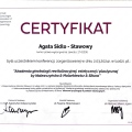 Powiększ obraz: certificate 2