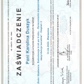 Powiększ obraz: certificate 2