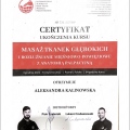 Powiększ obraz: certificate 1