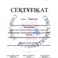 Powiększ obraz: certificate 29