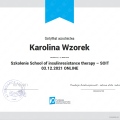 Powiększ obraz: certificate 3