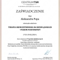 Powiększ obraz: certificate 5