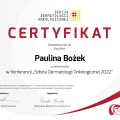 Powiększ obraz: certificate 9