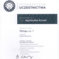 Powiększ obraz: certificate 2