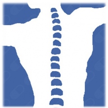 Wrocławskie Centrum Terapii Manualnej