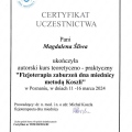 Powiększ obraz: certificate 2