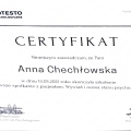 Powiększ obraz: certificate 3