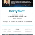 Powiększ obraz: certificate 4