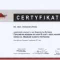 Powiększ obraz: certificate 10