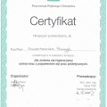 Powiększ obraz: certificate 17