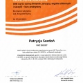 Powiększ obraz: certificate 5