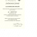 Powiększ obraz: certificate 3