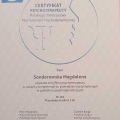 Powiększ obraz: certificate 4