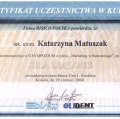 Powiększ obraz: certificate 34