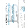 Powiększ obraz: certificate 13