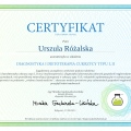 Powiększ obraz: certificate 46