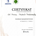 Powiększ obraz: certificate 21