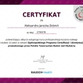 Powiększ obraz: certificate 8