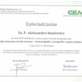 Powiększ obraz: certificate 2