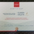 Powiększ obraz: certificate 4